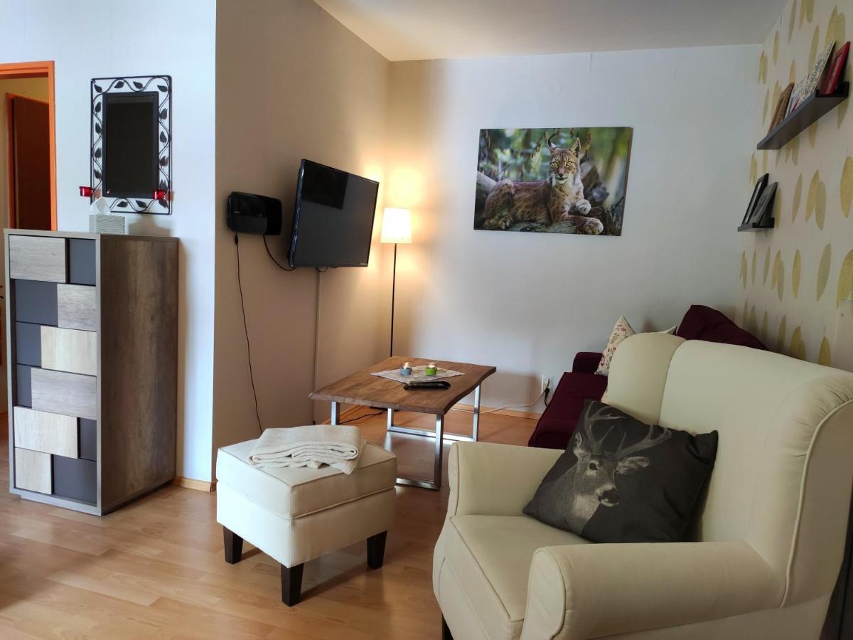Ferienwohnung Harzluchs Mit Balkon, Netflix Und Sauna Im Haus Hohegeiß Kültér fotó