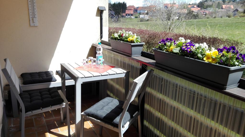 Ferienwohnung Harzluchs Mit Balkon, Netflix Und Sauna Im Haus Hohegeiß Kültér fotó