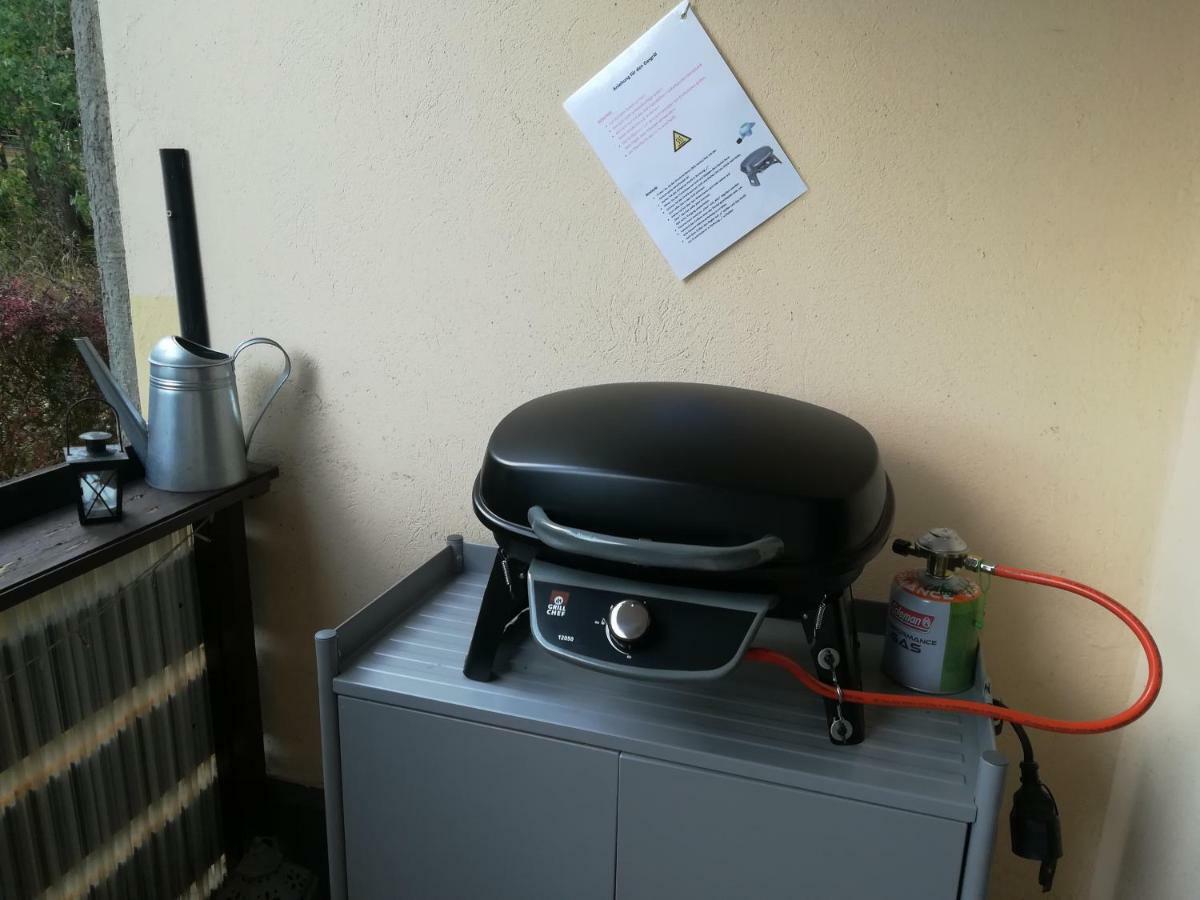 Ferienwohnung Harzluchs Mit Balkon, Netflix Und Sauna Im Haus Hohegeiß Kültér fotó